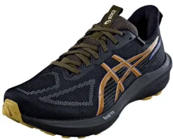 GT-1000 14 GTX von Asics