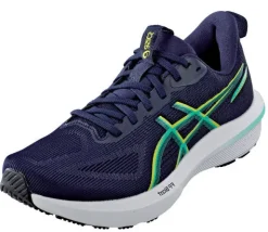 GT-1000 14 von Asics